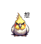 ドット絵 オカメインコ ルチノー 40種（個別スタンプ：13）