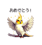 ドット絵 オカメインコ ルチノー 40種（個別スタンプ：14）