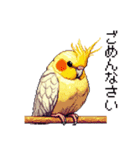 ドット絵 オカメインコ ルチノー 40種（個別スタンプ：15）