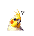 ドット絵 オカメインコ ルチノー 40種（個別スタンプ：17）