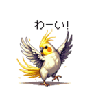 ドット絵 オカメインコ ルチノー 40種（個別スタンプ：18）