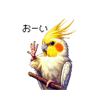 ドット絵 オカメインコ ルチノー 40種（個別スタンプ：19）