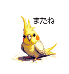 ドット絵 オカメインコ ルチノー 40種（個別スタンプ：20）