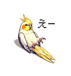 ドット絵 オカメインコ ルチノー 40種（個別スタンプ：21）