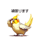 ドット絵 オカメインコ ルチノー 40種（個別スタンプ：22）