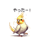 ドット絵 オカメインコ ルチノー 40種（個別スタンプ：24）