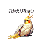 ドット絵 オカメインコ ルチノー 40種（個別スタンプ：27）