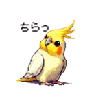 ドット絵 オカメインコ ルチノー 40種（個別スタンプ：28）