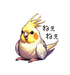 ドット絵 オカメインコ ルチノー 40種（個別スタンプ：29）