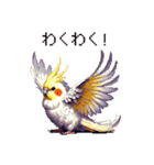 ドット絵 オカメインコ ルチノー 40種（個別スタンプ：30）