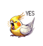 ドット絵 オカメインコ ルチノー 40種（個別スタンプ：33）