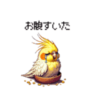 ドット絵 オカメインコ ルチノー 40種（個別スタンプ：40）