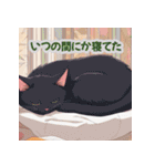 にゃんころる（個別スタンプ：3）