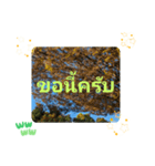 タイ語で日常会話を楽しもう観光名所の青天（個別スタンプ：10）