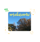 タイ語で日常会話を楽しもう観光名所の青天（個別スタンプ：15）