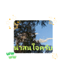 タイ語で日常会話を楽しもう観光名所の青天（個別スタンプ：21）