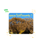 タイ語で日常会話を楽しもう観光名所の青天（個別スタンプ：28）