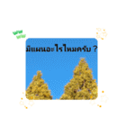 タイ語で日常会話を楽しもう観光名所の青天（個別スタンプ：38）