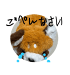 レッサーパンダRESAMON red panda RESAMON（個別スタンプ：5）