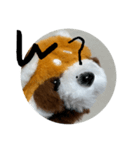 レッサーパンダRESAMON red panda RESAMON（個別スタンプ：7）