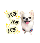うい*（個別スタンプ：15）