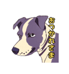 気軽な犬の対話（個別スタンプ：1）