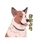 気軽な犬の対話（個別スタンプ：3）