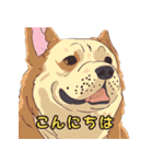 気軽な犬の対話（個別スタンプ：4）