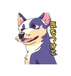 気軽な犬の対話（個別スタンプ：12）