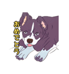 気軽な犬の対話（個別スタンプ：17）