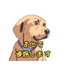 気軽な犬の対話（個別スタンプ：24）