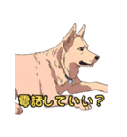 気軽な犬の対話（個別スタンプ：26）