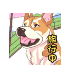 気軽な犬の対話（個別スタンプ：29）