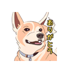 気軽な犬の対話（個別スタンプ：30）