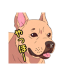 気軽な犬の対話（個別スタンプ：32）