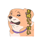 気軽な犬の対話（個別スタンプ：35）