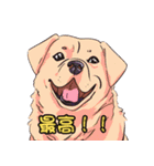 気軽な犬の対話（個別スタンプ：38）