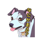 気軽な犬の対話（個別スタンプ：39）