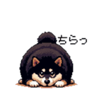 ドット絵 太っちょ黒柴 日常会話 40種（個別スタンプ：33）