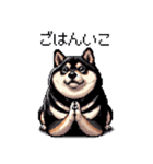 ドット絵 太っちょ黒柴 日常会話 40種（個別スタンプ：38）