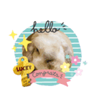【公式】世界の偉人麻友スタンプvol.1（個別スタンプ：3）