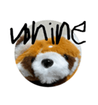 English talking red panda RESAMON（個別スタンプ：7）