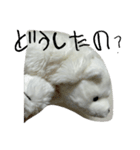 白熊のハピモン Polar Bear HAPIMON2（個別スタンプ：3）