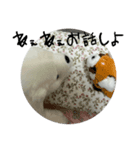 白熊のハピモン Polar Bear HAPIMON2（個別スタンプ：8）