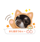 CHIWAWAスタンプ(修正版)（個別スタンプ：13）