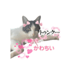 れんくんエフェクトスタンプ（個別スタンプ：20）