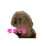 もこみみちゃん(とてもかわいい)（個別スタンプ：6）