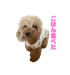 もこみみちゃん(とてもかわいい)（個別スタンプ：9）