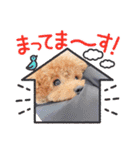 テオくんだよ！！（個別スタンプ：9）