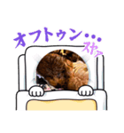 テオくんだよ！！（個別スタンプ：16）